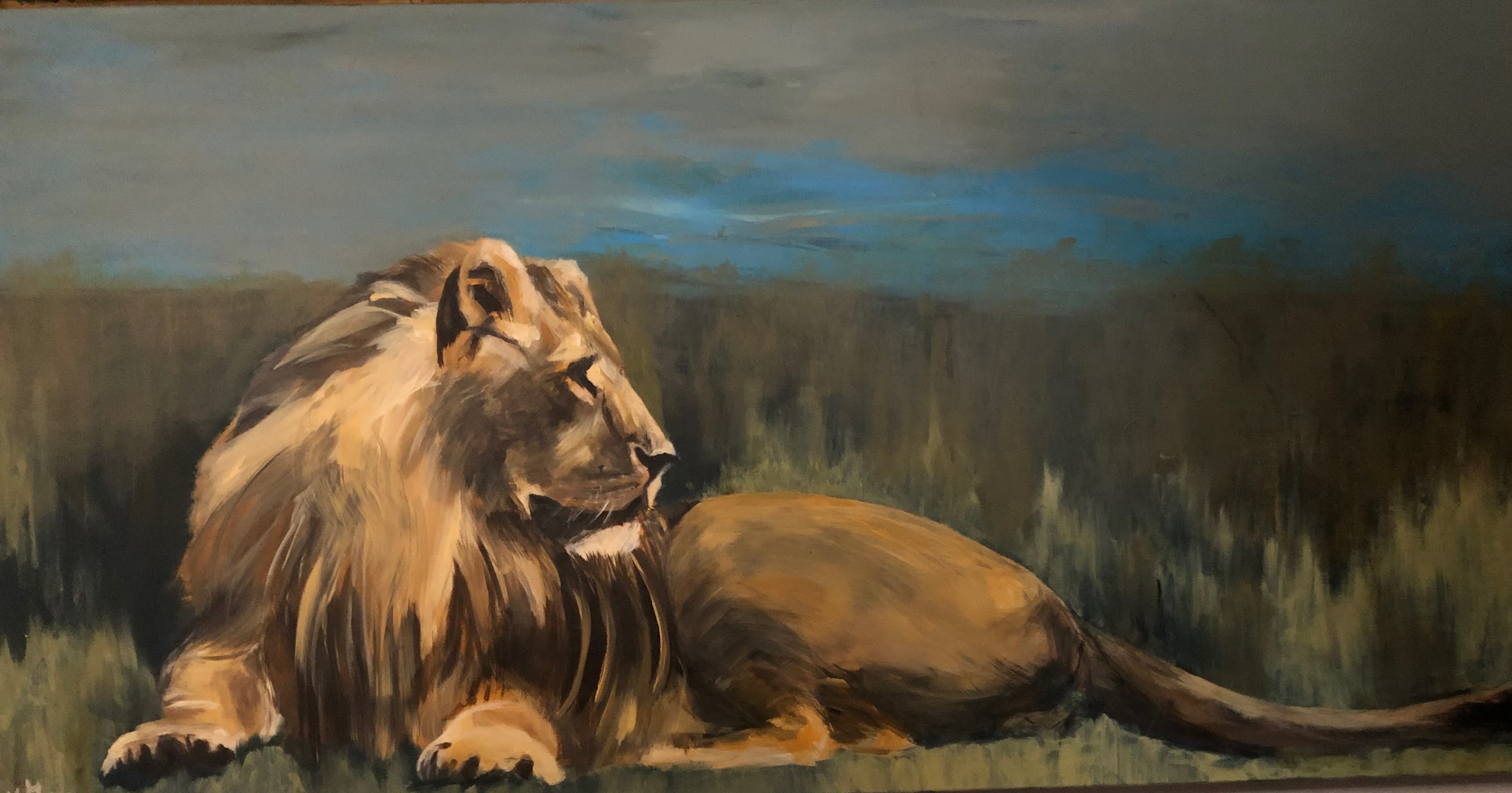 Lion, thinking